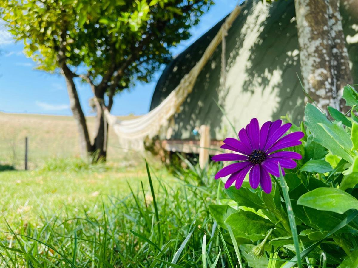 Glamping Turquesa, Feel And Relax In A Wood House Guest House Corredoura Екстериор снимка